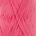 Heirloom Cotton